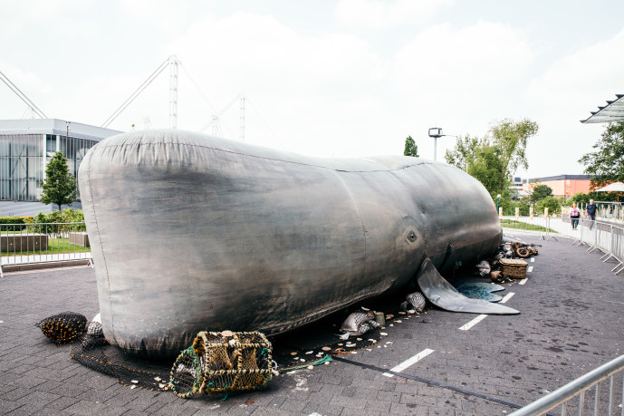 Giant 18-metre whale coming to Solihull town centre for special sustainability event