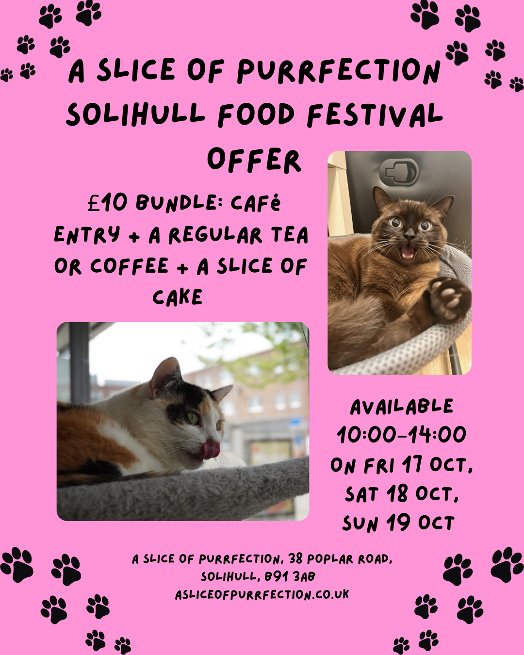 A Slice of Purrfection – £10 bundle deal